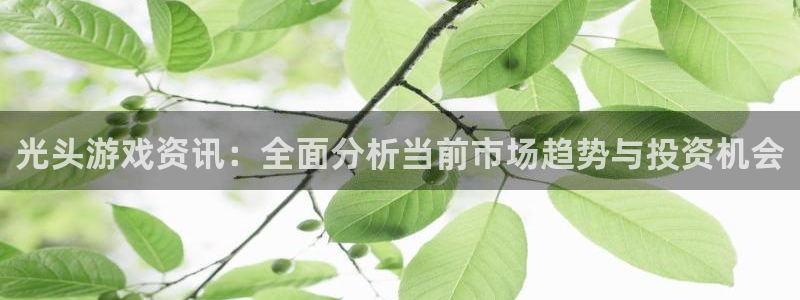 极悦娱乐4招商：光头游戏资讯：全面分析当前市场趋势与投资机会