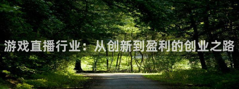 极悦娱乐升级5994月：游戏直播行业：从创新到盈利的创业之路