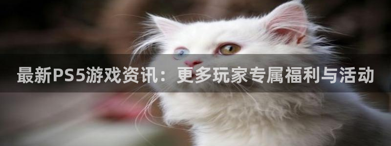 极悦娱乐集团：最新PS5游戏资讯：更多玩家专属福利与活动