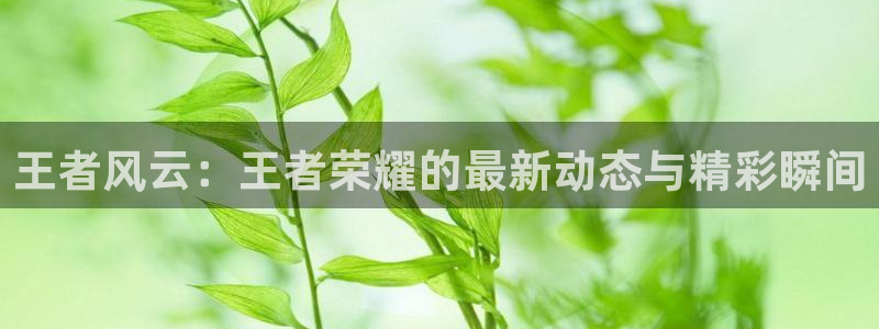 极悦娱乐平台登录入口：王者风云：王者荣耀的最新动态与精彩瞬间