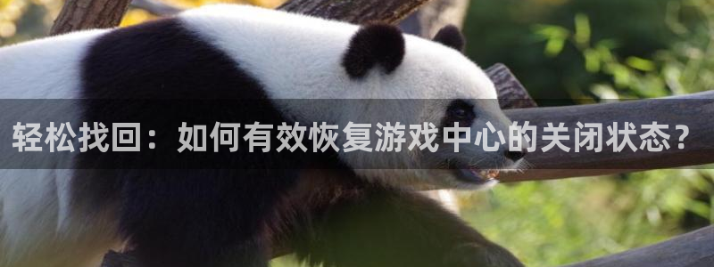 极悦娱乐注册测速：轻松找回：如何有效恢复游戏中心的关闭状态？