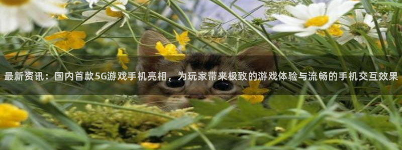 极悦娱乐下载链接：最新资讯：国内首款5G游戏手机亮相，为玩家