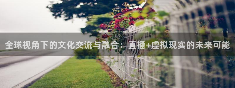 下载斗球直播app：全球视角下的文化交流与融合：直播+虚拟现实的未来可能